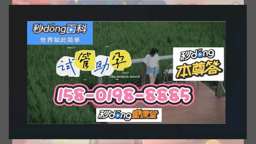 同性恋试管代怀正规公司-同性恋试管代怀正规公司:专业助您圆同性恋家庭梦