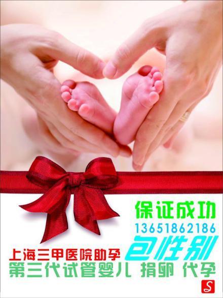 正规供卵试管婴儿医院(正规供卵试管婴儿医院:新生命的温暖港湾)